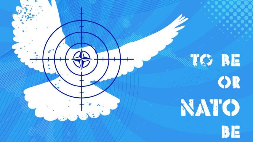 dove-nato-blue-white-sticker