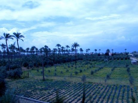 “Hoe vind je Gaza?” – Een verzameling indrukken uit een turbulent stukje wereld