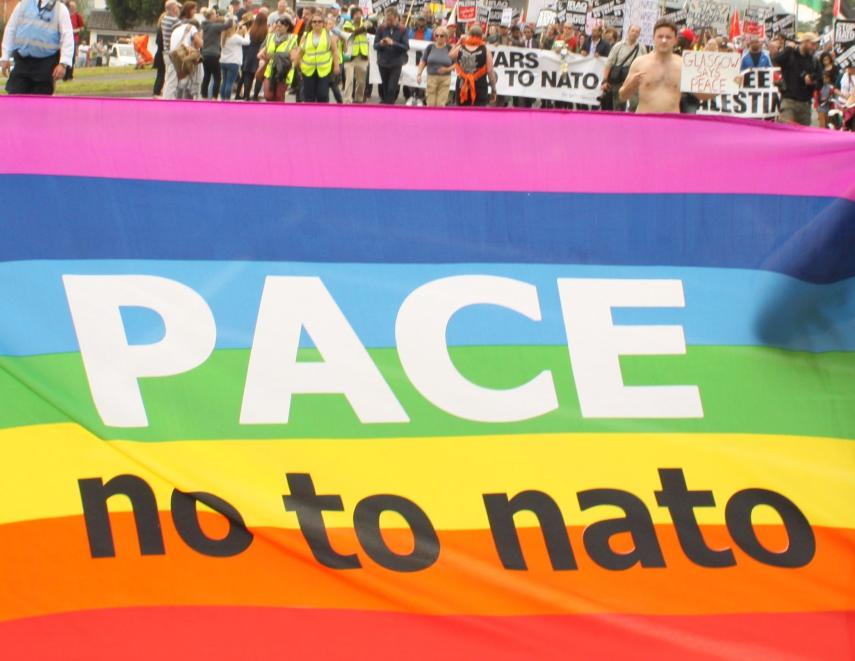 A Call For Actions During the NATO Summit in Warsaw
