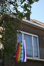 Internationale Dag voor de Vrede: foto&amp;#039;s 2016